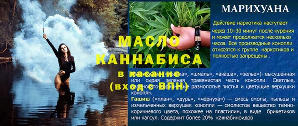 твердый Вяземский