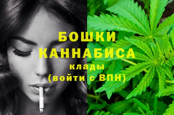 твердый Вяземский