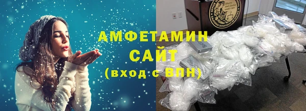 твердый Вяземский